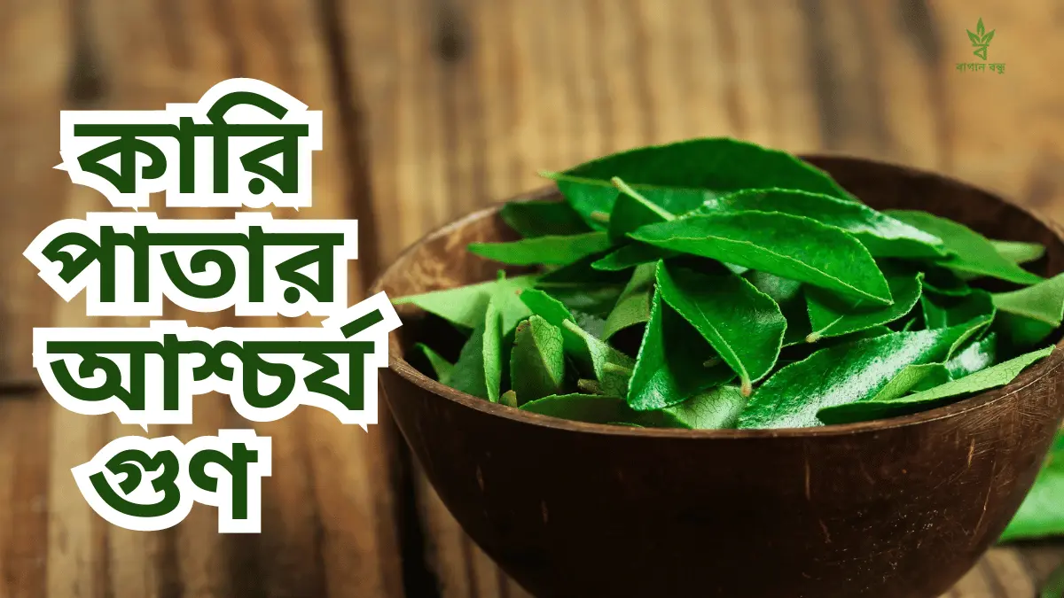 কারি পাতার উপকারিতা